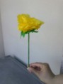 /album/fiori/img-1251-jpg1/